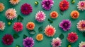 Vibrant Collection of Colorful Flowers on a Green Background. Perfect for Spring and Summer Themes. Floral Pattern for