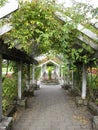 Bright attractive arbor and fresh blossom flowers and leaves at Stanley Park Perennial Garden 2020 Royalty Free Stock Photo