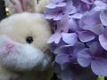 Bright attractive cute brown bunny rabbit stuffed toy with purple hydrangea flowers 2019 Royalty Free Stock Photo