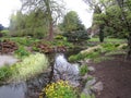 Bright attractive nature plants and flowers blooming in spring landscape at Queen Elizabeth Park Royalty Free Stock Photo