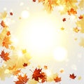 Bright autumn background with maple leaves