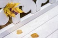 Bright autumn bouquet of fallen leaves and violet flower close-up in white bench in park, sunny day, autumn natural Royalty Free Stock Photo