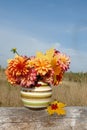 Bright autumn bouquet of orange, pink dahlias and maple yellow leaves in a round vase on a sunny day Royalty Free Stock Photo