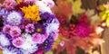 Bright autumn colorful purple and yellow flowers of asters, chrysanthemums, gerberas and daisies are in a vase on the table Royalty Free Stock Photo