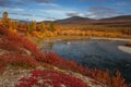 Bright autumn colors of vegetation on the river Bank. Royalty Free Stock Photo