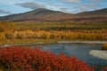 Bright autumn colors of vegetation on the river Bank. Royalty Free Stock Photo