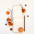 Bright autumn composition of a sketchbook, figs and tree branches. Flat lay, top view