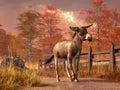 Donkey in Autumn