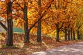 Bright autumn in an empty city park. Royalty Free Stock Photo