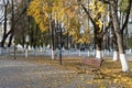 Bright autumn foliage. Bench. Vladimir, Russia