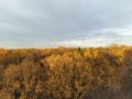 Bright autumn landscape with cloudy sky over the tree tops. A forest in the fall with gold, brown and red bronze leaves.