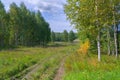 Autumn landscape green meadow and forest in the background against the backdrop of a beautiful blue sky and white clouds Royalty Free Stock Photo