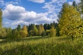 Autumn landscape green meadow and forest in the background against the backdrop of a beautiful blue sky and white clouds Royalty Free Stock Photo
