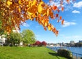 Bright Autumn Leaves of Orange and Yellow and Blue Skies near the False Creek Inlet