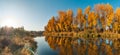 Bright autumn morning landscape. panoramic view from the river bank to lush orange-yellow trees across the river beautifully Royalty Free Stock Photo