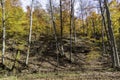 Bright autumn Ohio hillside