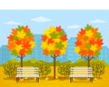 Bright autumn park in the city. Panorama of the city in October with maple trees and leaves. flat vector Royalty Free Stock Photo