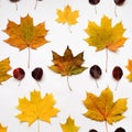 Bright autumn pattern with leaves on white background. Top view, flat lay, view from above