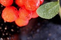 Bright autumn rowan berry on a black background with rain drops. Macro, abstraction. Water drops.