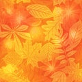 Bright autumn seamless pattern