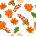 Bright autumn seamless pattern with leaves and berries of mountain ash, maple , oak Royalty Free Stock Photo