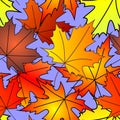 bright autumn seamless pattern of maple yellow and red leaves on a blue background, texture Royalty Free Stock Photo