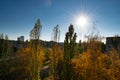 The bright autumn sun shines like a star Royalty Free Stock Photo
