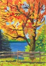 Bright autumn tree on the river bank. Child`s drawing Royalty Free Stock Photo