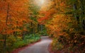 Bright autumn trees along scenic byway in Michigan upper peninsula