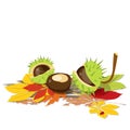 Bright autumn vector illustration chestnuts yellow red green leaves ladybug for books scenery sites