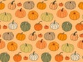 Bright autumn vector seamless pattern background with various hand drawn pumpkin in autumn warm rustic colors on light orange Royalty Free Stock Photo