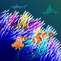Bright background with clown fish and sea anemone for pet shop and aquarium