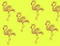 On a bright background, pink flamingos. Wallpaper for wallpapers, web pages, banners.. A couple of pink flamingos.