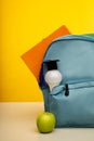 Bright backpack and bulb, vertical image Royalty Free Stock Photo