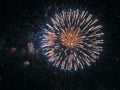 A Bright Ball of Fireworks Exploded into Fiery Splashes in The Dark, Night Sky Royalty Free Stock Photo