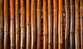 Bright bamboo background. Bamboo trunks photo. Rustic wooden screen. Brown bamboo decorative wall.