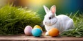 Bright banner with Easter bunny and pastel eggs on a background of fresh green grass with copy space. Holy Easter Royalty Free Stock Photo