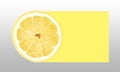 Bright banner with a slice of lemon and space for text. Advertising