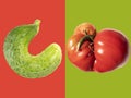 Bright banner with an ugly tomato and gorura on a red-green background. Poster. Advertising