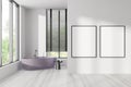 Bright bathroom interior with bathtub, two empty white posters Royalty Free Stock Photo