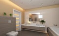 Bright Bathroom With Wood