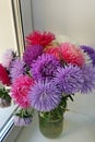 Bright beautiful aster flowers in a water bank on a windowsill