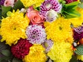Bright beautiful bouquet of flowers. Chrysanthemums of different colors and rose. Floral background Royalty Free Stock Photo