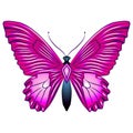 Bright beautiful butterfly. Vector illustration isolated. Royalty Free Stock Photo
