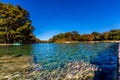 Bright Beautiful Fall Foliage on the Crystal Clear Frio River. Royalty Free Stock Photo