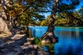 Bright Beautiful Fall Foliage on the Crystal Clear Frio River.