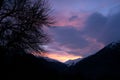 Bright and beautiful, fiery sunset in the mountains - snowy peaks, dark silhouettes of mountains and branches of a large tree