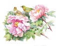 Bright beautiful floral illustration, fairytale flowers and birds on white background.