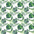 Bright beautiful green herbal tropical wonderful hawaii floral summer pattern of a tropic palm and monstera leaves watercolor