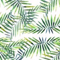 Bright beautiful green herbal tropical wonderful hawaii floral summer pattern of a tropic palm and monstera leaves watercolor hand Royalty Free Stock Photo